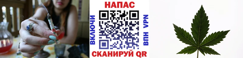 Купить наркоту Приозерск Alpha-PVP Мефедрон Гашиш