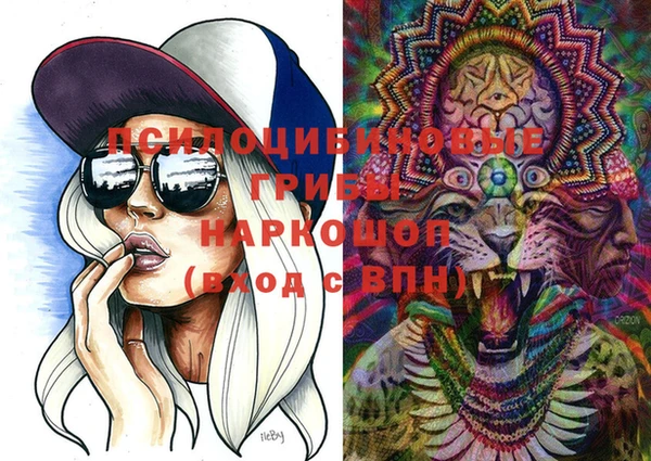индика Балахна