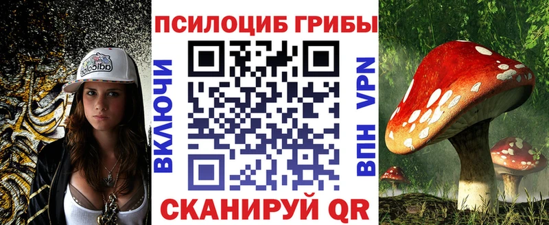 Галлюциногенные грибы Psilocybe гидра tor Приозерск наркотики